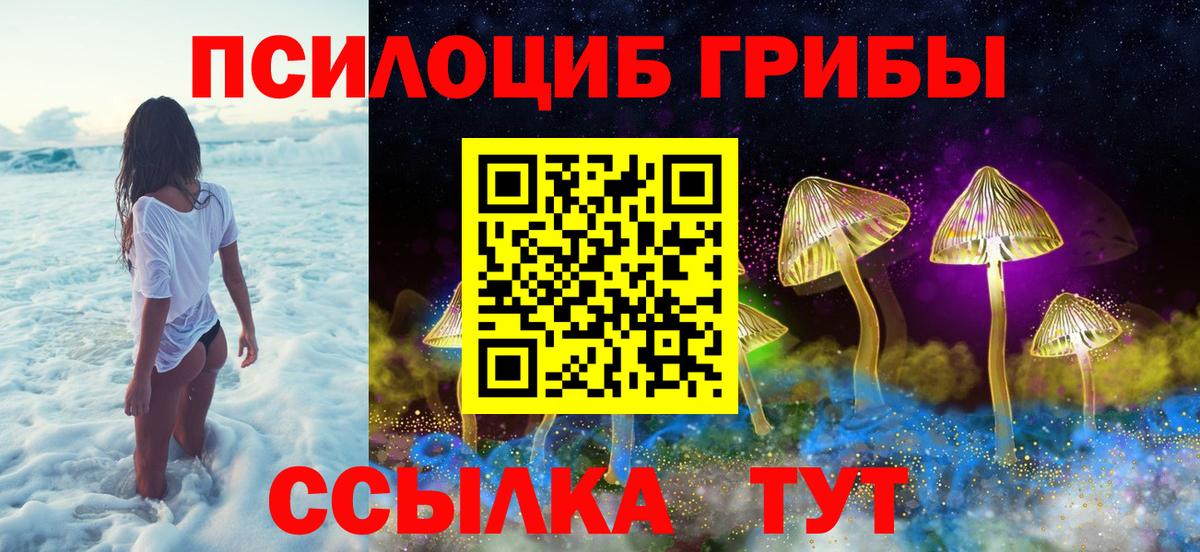 Галлюциногенные грибы GOLDEN TEACHER  Вход с VPN  Избербаш 